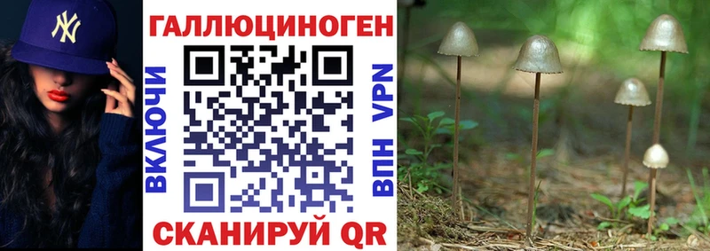 Галлюциногенные грибы Psilocybine cubensis  Купить  Хасавюрт 