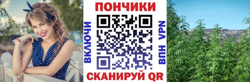 Шишки марихуана тримм  Купить  Хасавюрт 